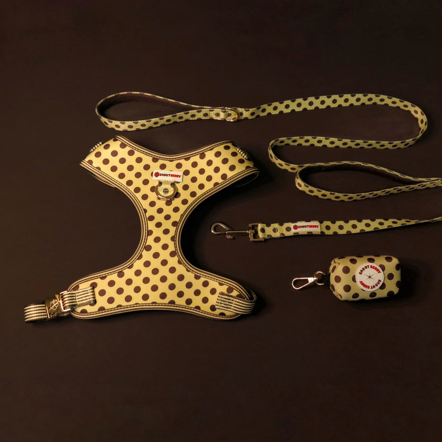 The Full Strut Set | Dot Drop