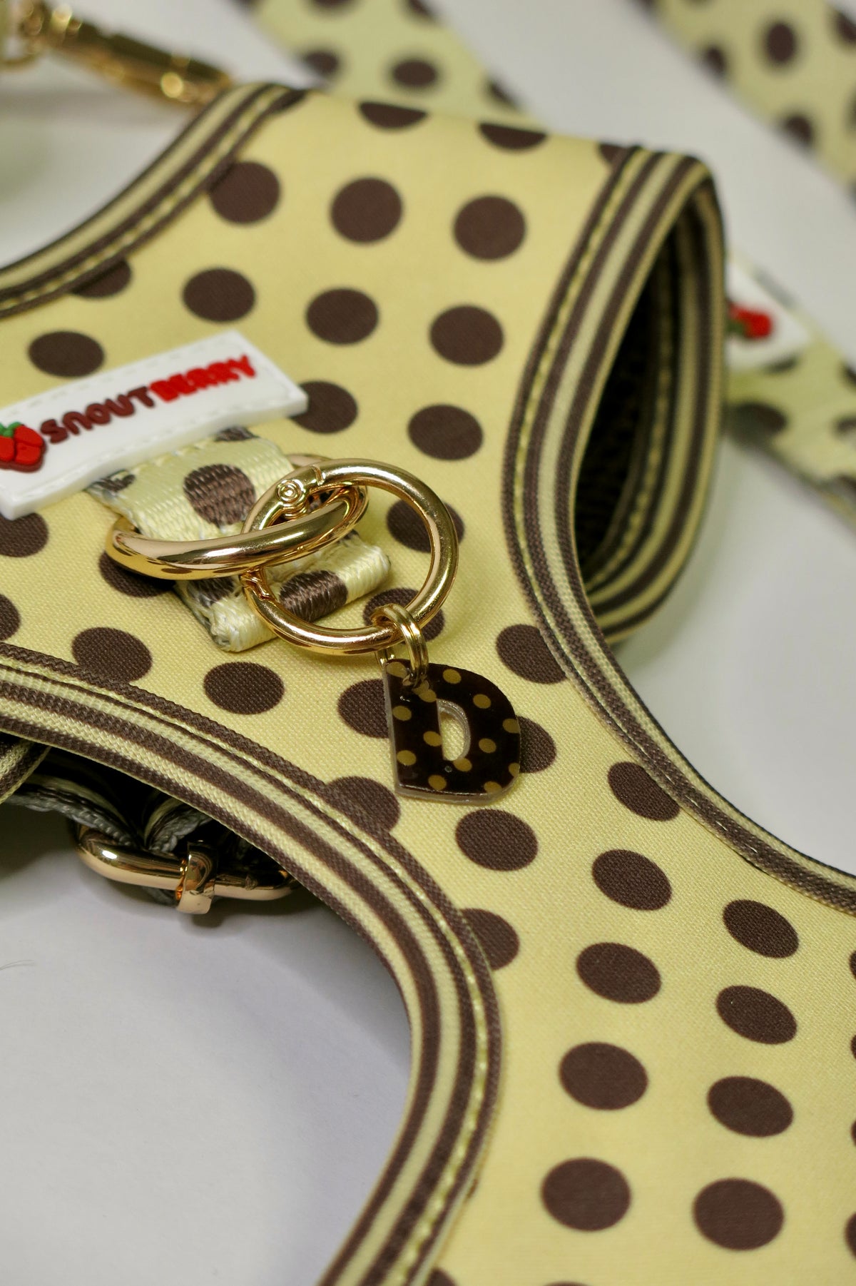 Custom Initial Charm