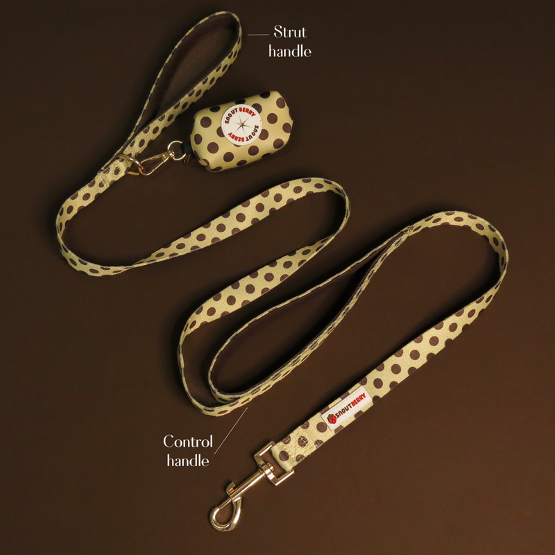 Dual-Handle Leash