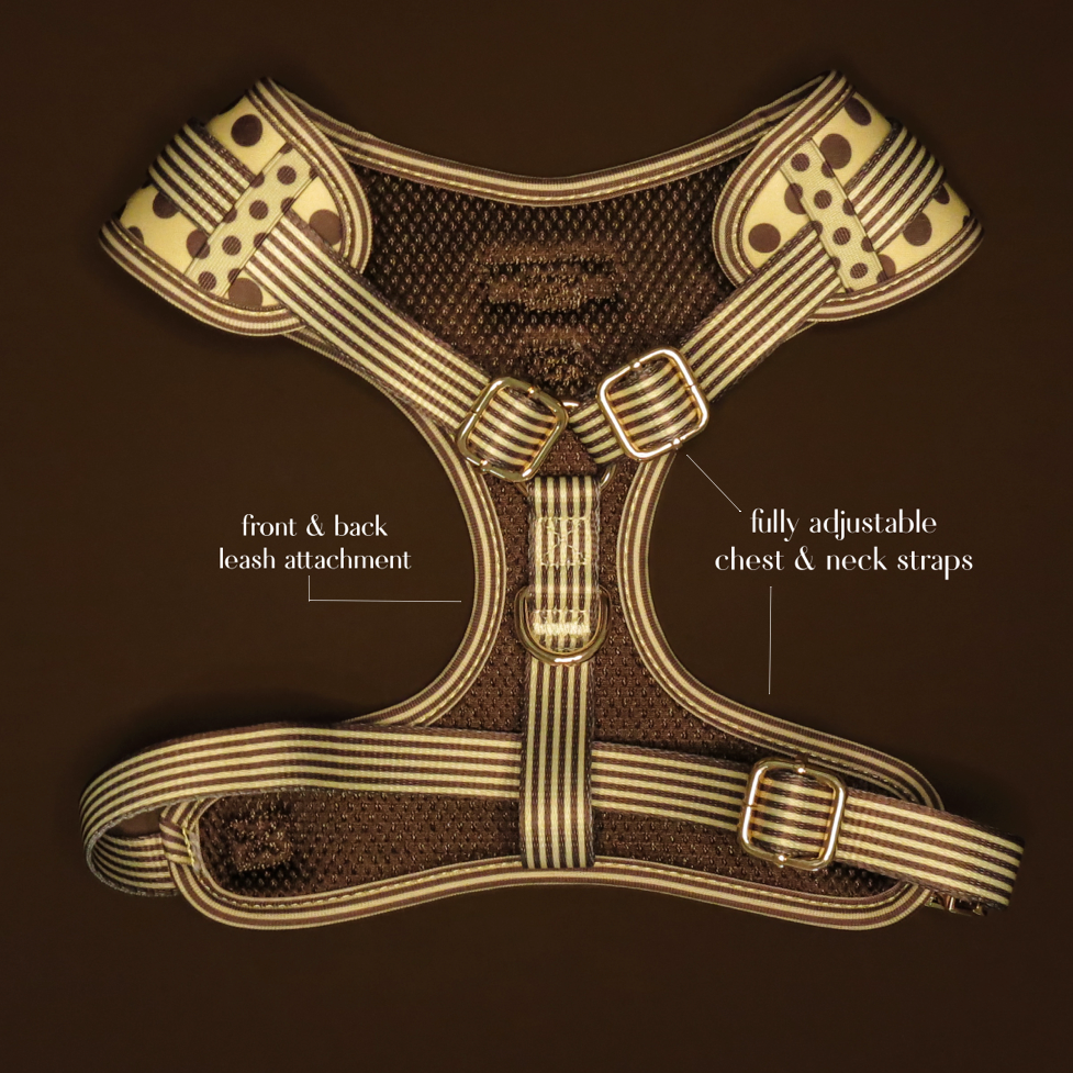 Adjustable No Pull Harness