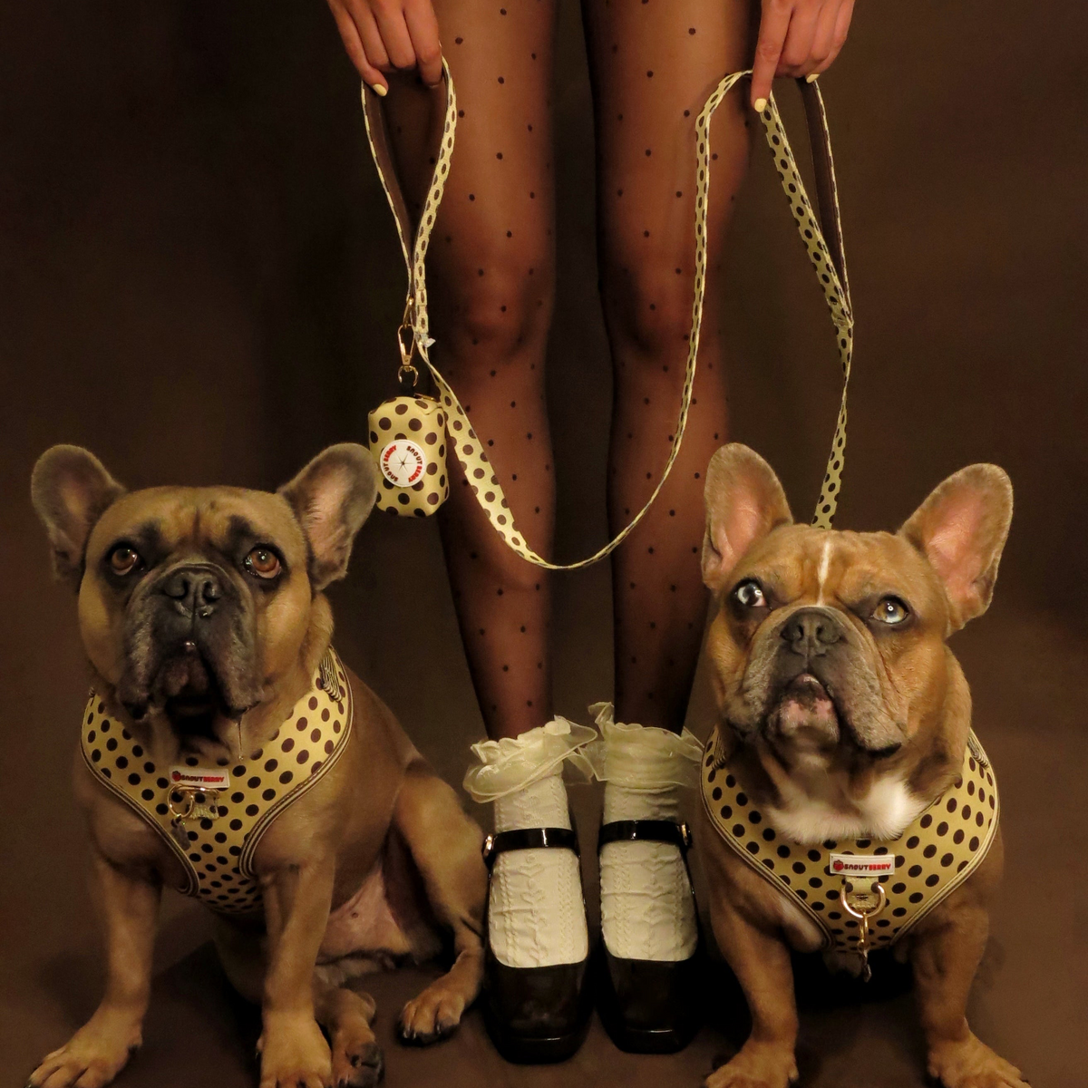 Dual-Handle Leash